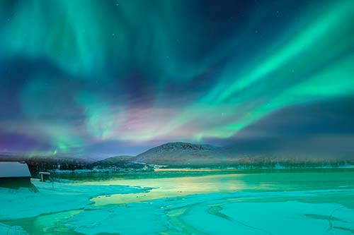 cruise to northern lights norway wilderness