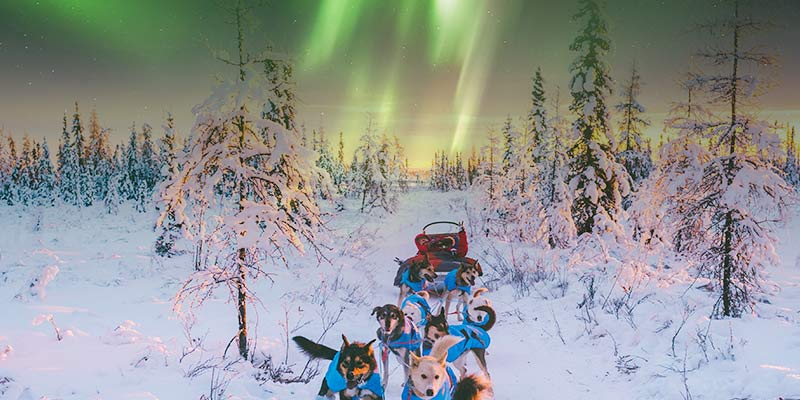 northern lights vacation packages alaska